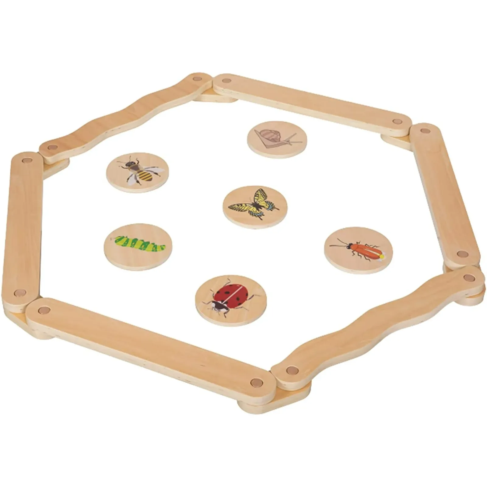 Natural wood hexagonal balance beam course with six round discs printed with insect illustrations